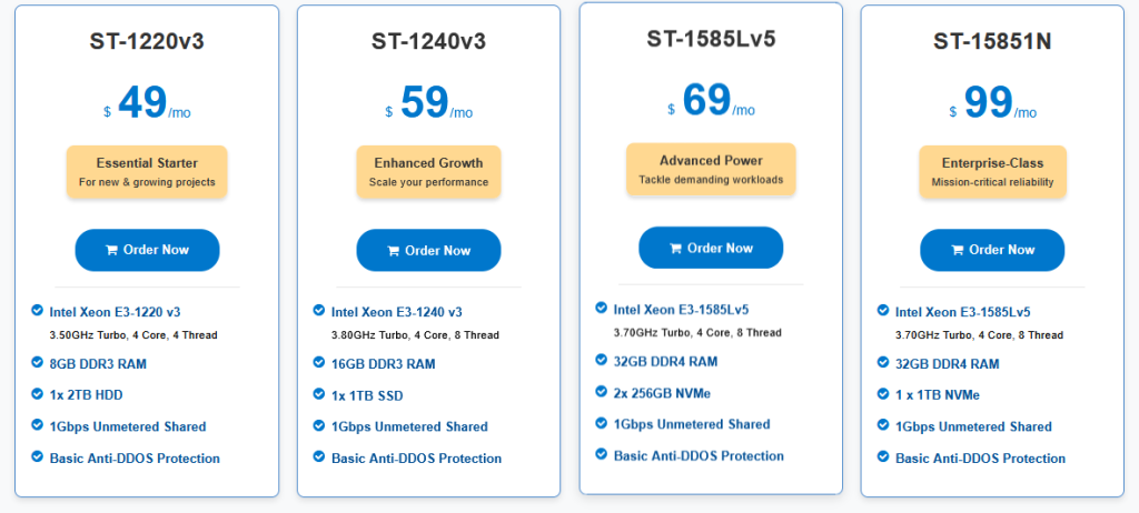 BlueAngelHost.com Review